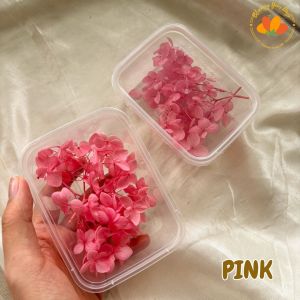 (2GR) BUNGA Hydrangea Box Bunga kering Hydrangea/Batang Hydrangea Flower For Hand Bouquet / Wedding / Bunga Hiasan / Artificial 1 Cabang Hydrangea Bunga Artificial Dekorasi Hiasan Dekorasi Decoration Seserahan Mahar Hiasan