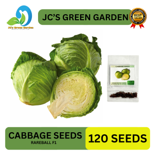 (120 SEEDS) REPOLYO/CABBAGE SEEDS/TROPICAL DELIGHT/HYBRID/HIGH YIELD/EASY TO GROW