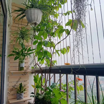 Kệ gỗ treo tường để cây ban công kệ cây cảnh decor nhiều tầng kệ trang trí sân vườn chung cư