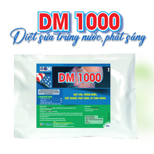 DM 1000 - Giải pháp xử lý trứng nước phát sáng cải thiện ao nuôi cho tôm cá