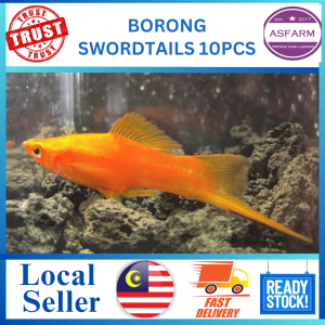 Swordtails