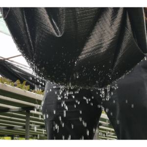 ผ้าคลุมดิน พลาสติกคลูมดิน CP,ขนาด 10 เมตร,มีน้ำซึมผ่านได้ ผ้าคลูมหญ้า พลาสติกคลูมหญ้า