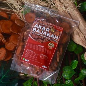 Akar Bajakah Tampala Merah Asli Kalimantan