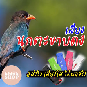 เสียงต่อนกตะขาบดง เมมเสียงนกตะขาบดง แฟลชไดร์ฟเสียงต่อนกตะขาบดง เสียงนกตะขาบดง มีเก็บเงินปลายทาง