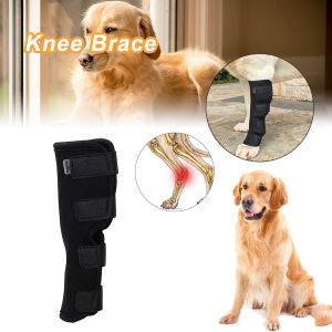 OUTOPEN 1 Pcs For  Injury Injury Wrap Protector Joint Wrap Dog Support Brace Pet Knee Pads Puppy  Kneepad Dog Wrist Guard Dog Supplies