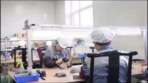 New 13 Zijiqing Makeup Brush Set Soft Bristle Powder Highlight Blush Eyeshadow Brush Full Set Beauty Tools [ Free Shipping ]