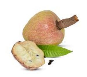 Anonas Fruit Seeds for germination