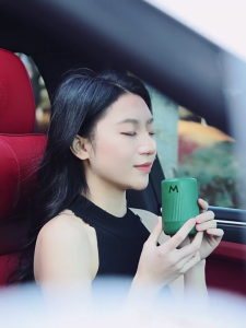 Car Diffuser Essential Oils Scents AromatherapyPerfumes Fragrances Long Lasting Automotive Air Fresheners Decoration