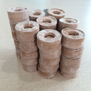 100 VIÊN NÉN XƠ DỪA Hữu Cơ Ươm Hạt Giống Và Cây Con Tiện Lợi