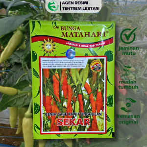 Benih Cabe Rawit SEKAR 10 Gram Cap Bunga Matahari Lebat Pedas Panjang