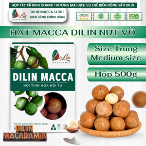 DiLin Hạt Macca Tây Nguyên Nứt Sẵn Size Trung (Hộp 500g)