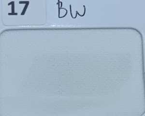 kain Valentino Yorris