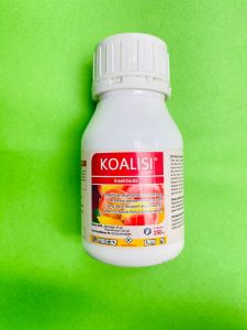 Insektisida KOALISI 240 SC  GRAHA AGRITECH PRIMA kemasan 250ml F