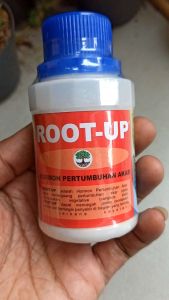 ROOT UP/RootUp Hormon perangsang Akar/Stek/Cangkok 100gram