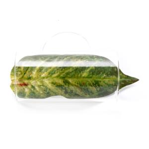 Acrylic Bettas Breeding Bed Bettas Fish Comfortable Spawning Leaf Tunnel for Enhancing Reproduction in Homes
