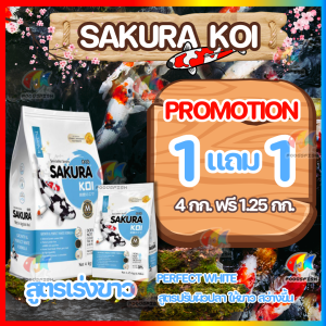 🔥ซื้อ 1แถม 1❗ทุกสูตร💥 อาหารปลาคาร์ฟซากุระโค่ย (Sakura Koi) 6.5 กก. และ 4 กก.