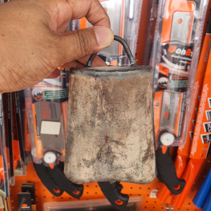 กะโหล่งวัว หมากกะโหล่ง กระดิ่ง   กะโหล่งวัว  กระดิ่ง