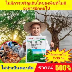 1ถุง ฆ่าต้นไม้ใหญ่ได้1000ต้น ยากำจัดต้นไม้ใหญ่ที่แข็งแกร่งกว่า ยาฆ่าต้นไม้ใหญ ผงกำจัดต้นไม้ รากเน่าเสียทันที ไม่ทำลายดิน ยาฆ่าไม้ไผ่ ยาฆ่าตอต้นไม้ กำจัดต้นไม้หญ้าไม้ไผ่ บอกลาการตัดต้นไม้ด้วยตนเอง