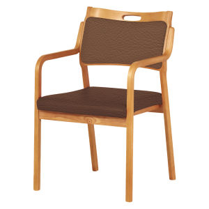 GLORY PLAN เก้าอี้สำหรับผู้สูงอายุ และสถานพยาบาล (Care 112-AC)