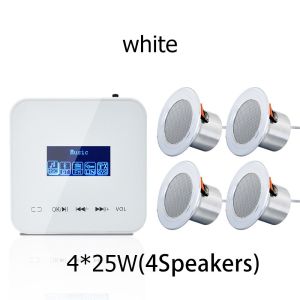 ชุดเครื่องขยายเสียงผนัง Bluetooth ระบบเสียงโฮมเธียเตอร์พร้อมลําโพงเพดานสเตอริโอ HiFi สําหรับ Hotel Inn