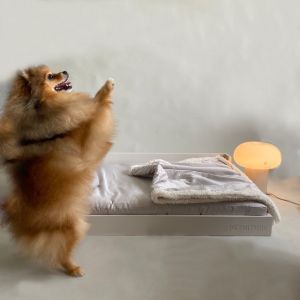 เซทเบาะนอนขนาด Single พร้อมเตียง 𝗬𝘂𝗺𝗲 𝗽𝗿𝗲𝗺𝗶𝘂𝗺 𝗽𝗲𝘁 𝗯𝗲𝗱 (Petniture)