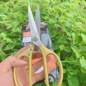 Kéo Đa Năng SK5 Nội Địa Nhật Bản Cao Cấp Kéo Nhật Kéo Cắt Gà Vịt Cá