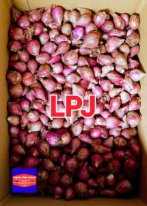 Bawang MERAH BREBES SUPER - 1 Kg - LPJ
