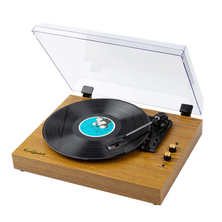 Vinyl Records LP Turntable Retro Record Player Built-in Speakers