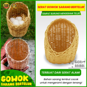 SERAT GOWOK SARANG TEMPAT BURUNG BERTELUR tempat mengerami telur