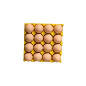 【Ready Stock】 ic Egg Tray Fridge  Creative Design Reusable Egg Refrigerator s Cute Egg Shape Memo Note Holder Kitchen Decor