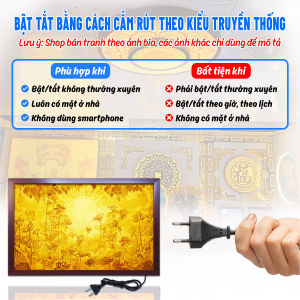 Đèn Hào Quang Trúc Chỉ In Ngang Hoa Sen Trang Trí Bàn Thờ Phòng Thờ Treo Tường TC-TN-60