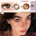 1 Pair Colored Contact 14.2mm PATTAYA Brown Gray Blue Green Wearing Soft Lens Natural Look Monthly Replacement. 