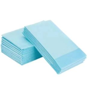 80/100 MIẾNG TẤM LÓT NGƯỜI GIÀ TẤM LÓT SẢN KHOA
