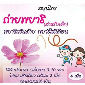 ก้นหอยถ่ายพยาธิ สำหรับ เด็ก 1ชุด มี 8 เม็ด ชุดละ 50 บาท