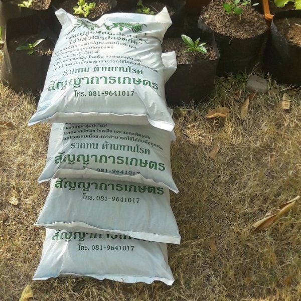 6 อันดับดินปลูกต้นไม้ที่ดีที่สุด ที่คัดสรรมาให้คุณปี 2026: เลือกดินให้เหมาะ พืชโตไว ดอกสวย!