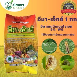 อีมา-เอ็กซ์ ขนาด 1 กิโลกรัม