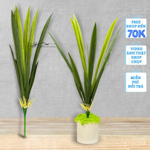 5-10 Cụm Lá lan dài lá lan kiếm nhân tạo dùng trang trí cắm gốc lan. Hoa Lụa LyLy Decor