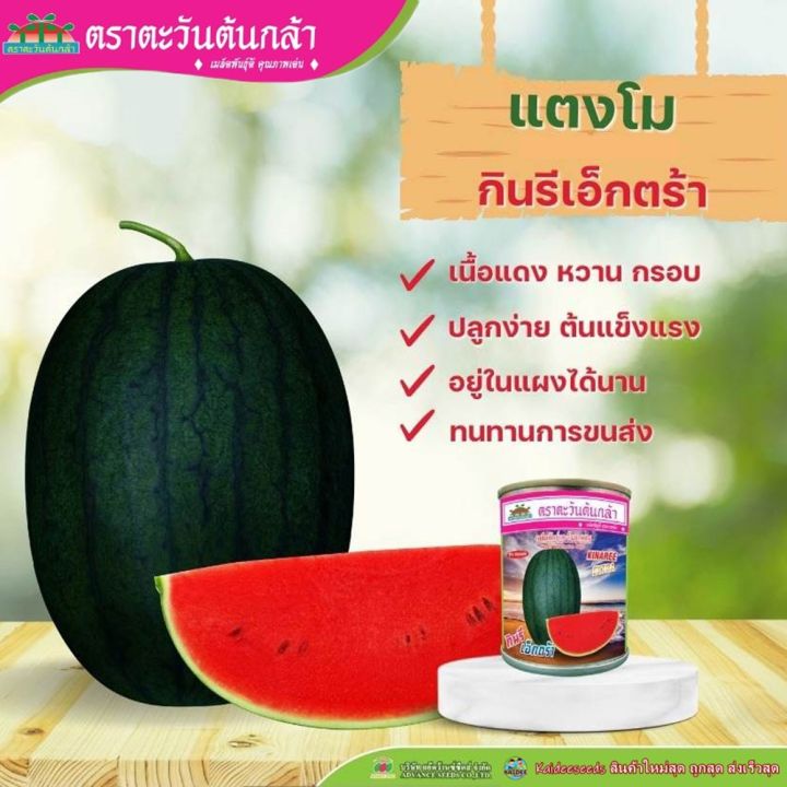 10 อันดับเมล็ดพันธุ์แตงโมกินรีที่ดีที่สุดสำหรับปี 2025 ปลูกง่าย หวานฉ่ำ!