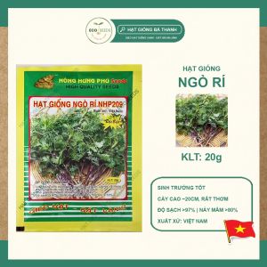 [EcoSeeds] Combo 2 Gói Hạt Giống Ngò Rí (Rau Mùi Mùi Ta) - Giống Cây Tía Sinh Trưởng Tốt - Gói 20g