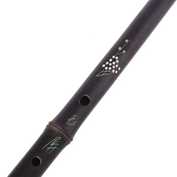 Cremona SV-75 Premier Novice Violin Outfit – Sparkling Purple, 3/4 Size (Full Kit)