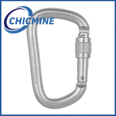 Chicmine 45KN D-shaped Carabiner High Load-bearing Steel Climbing Main Lock for Mountaineering Fashion Climbing Hook