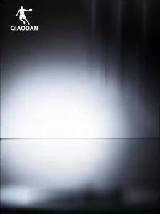 Qiaodan Feiying PB6.0 Men Running Shoes Professional Marathon Racing Carbon Plate QDB023261299