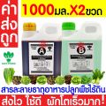 *ค่าส่งถูก* สารละลาย AB ไฮโดรโปนิกส์ เอบี ธาตุอาหาร น้ำ ผักไฮโดร Hydroponics สลัด ผักไทย ผักกาด ผักจีน ปลูกพืชไร้ดิน ปลูกผักไฮโดร. 