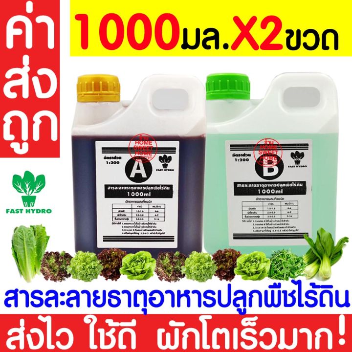 *%E0%B8%84%E0%B9%88%E0%B8%B2%E0%B8%AA%E0%B9%88%E0%B8%87%E0%B8%96%E0%B8%B9%E0%B8%81*%20%E0%B8%AA%E0%B8%B2%E0%B8%A3%E0%B8%A5%E0%B8%B0%E0%B8%A5%E0%B8%B2%E0%B8%A2%20AB%20%E0%B9%84%E0%B8%AE%E0%B9%82%E0%B8%94%E0%B8%A3%E0%B9%82%E0%B8%9B%E0%B8%99%E0%B8%B4%E0%B8%81%E0%B8%AA%E0%B9%8C%20%E0%B9%80%E0%B8%AD%E0%B8%9A%E0%B8%B5%20%E0%B8%98%E0%B8%B2%E0%B8%95%E0%B8%B8%E0%B8%AD%E0%B8%B2%E0%B8%AB%E0%B8%B2%E0%B8%A3%20%E0%B8%99%E0%B9%89%E0%B8%B3%20%E0%B8%9C%E0%B8%B1%E0%B8%81%E0%B9%84%E0%B8%AE%E0%B9%82%E0%B8%94%E0%B8%A3%20Hydroponics%20%E0%B8%AA%E0%B8%A5%E0%B8%B1%E0%B8%94%20%E0%B8%9C%E0%B8%B1%E0%B8%81%E0%B9%84%E0%B8%97%E0%B8%A2%20%E0%B8%9C%E0%B8%B1%E0%B8%81%E0%B8%81%E0%B8%B2%E0%B8%94%20%E0%B8%9C%E0%B8%B1%E0%B8%81%E0%B8%88%E0%B8%B5%E0%B8%99%20%E0%B8%9B%E0%B8%A5%E0%B8%B9%E0%B8%81%E0%B8%9E%E0%B8%B7%E0%B8%8A%E0%B9%84%E0%B8%A3%E0%B9%89%E0%B8%94%E0%B8%B4%E0%B8%99%20%E0%B8%9B%E0%B8%A5%E0%B8%B9%E0%B8%81%E0%B8%9C%E0%B8%B1%E0%B8%81%E0%B9%84%E0%B8%AE%E0%B9%82%E0%B8%94%E0%B8%A3%20-%20Image%204