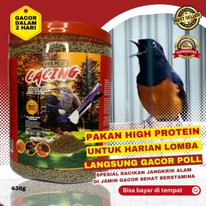 pakan untuk burung cendet murai kacer murai batu cendet cocak ijo penambah gacor voer cacing 430G