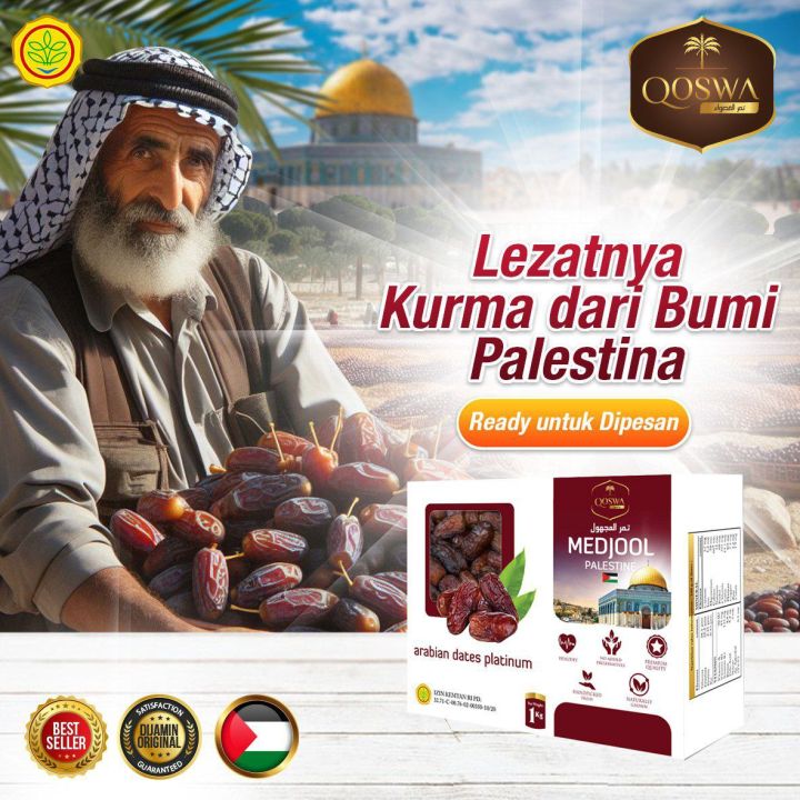 Kurma Medjool 1 Kg Palestine Qoswa Korma Medjol Premium Arabian Dates ...