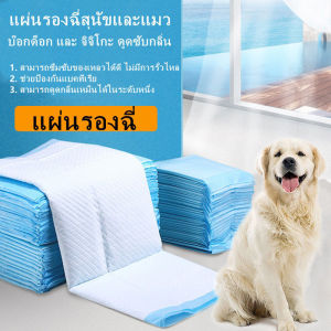 แผ่นรองฉี่สุนัข แผ่นรองฉี่แมว ช่วยฝึกขับถ่าย ระงับกลิ่น ซึมซับไดีดี แผ่นรองฉี่สุนัขและแมว สัตว์เลี้ยง แผ่นรองฉี่ รายการที่ใช้แล้วทิ้ง