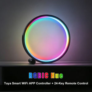 Aesthetic Circle LED Table Lamp RGB IC Smart App Control Stepless Dimming Dimmable Night Light USB Plug In Audio Sync Bedside Lamp Best Christmas Birthday Gift
