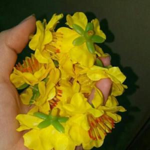 Hoa Mai Đào giả 0.5Kg 1Kg trang trí ngày Lế Tết trang hoàng nhà cửa cực xinh đón tết sum vầy (N007)