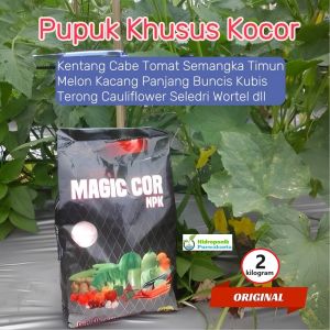 Pupuk NPK Plus Unsur Mikro MAGIC COR Khusus Kocor Isi 2 Kg Untuk Aneka Tanam